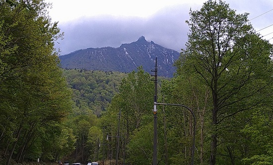 DSC_3065.JPG