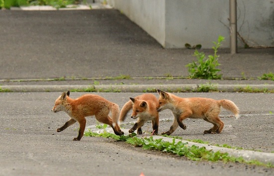 DSC_3501.jpg