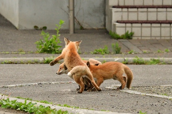 DSC_3502.jpg