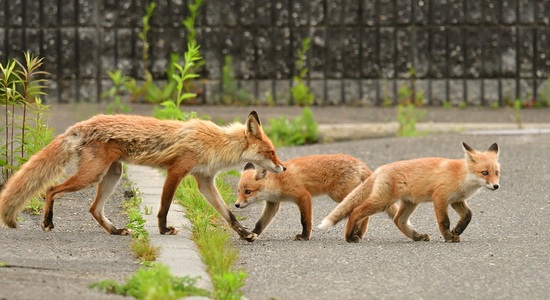 DSC_3506.jpg