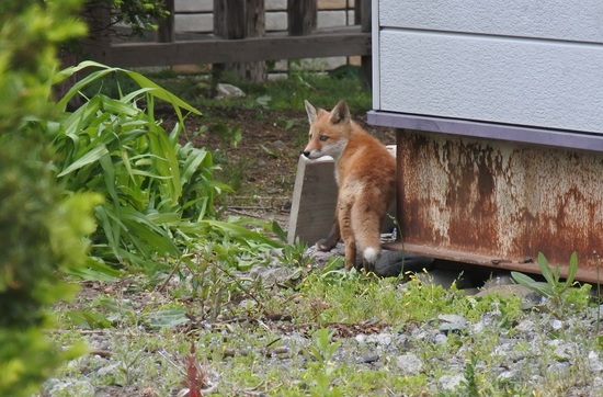 DSC_3547.JPG