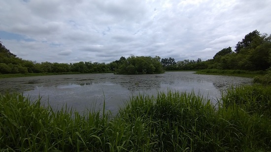 DSC_2798.JPG