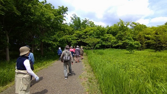 DSC_2813.JPG