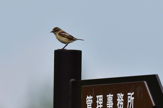 DSC_2814-4.jpg