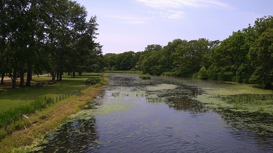 DSC_2903.JPG