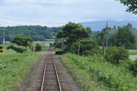 DSC_4816.JPG