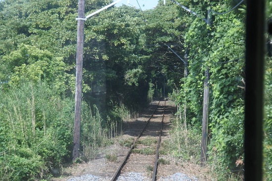 DSC_5840.JPG