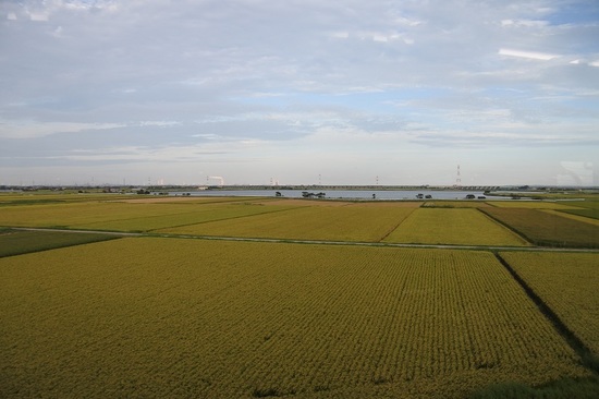 DSC_5867.JPG