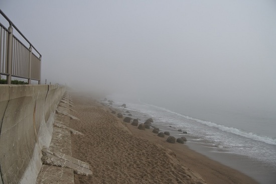 DSC_5952.JPG