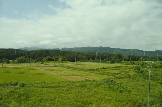 DSC_5994.JPG