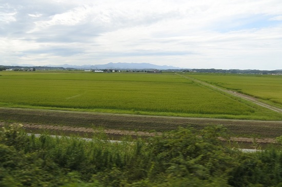 DSC_6006.JPG