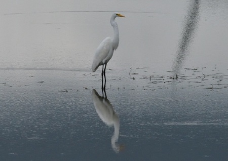 DSC_6010.jpg