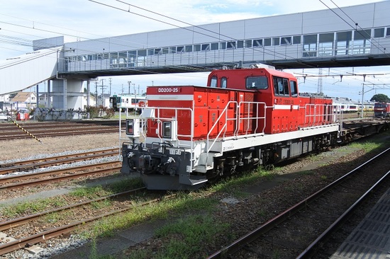 DSC_6010.JPG