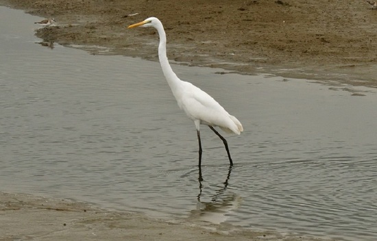 DSC_6052.jpg