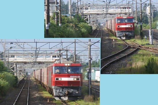 DSC_6052.JPG