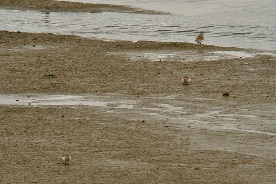 DSC_6060.jpg