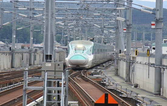 DSC_6208.JPG
