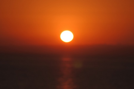DSC_3123.JPG