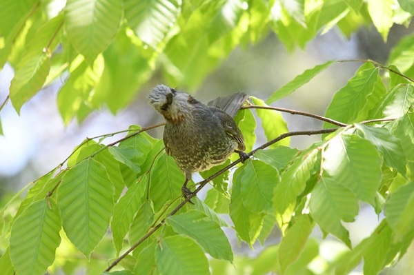 DSC_5374.JPG