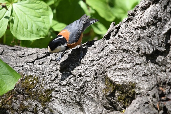 DSC_5406.JPG