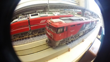 DSC_5013.JPG