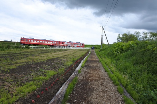DSC_6240.JPG