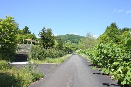 DSC_6418.JPG