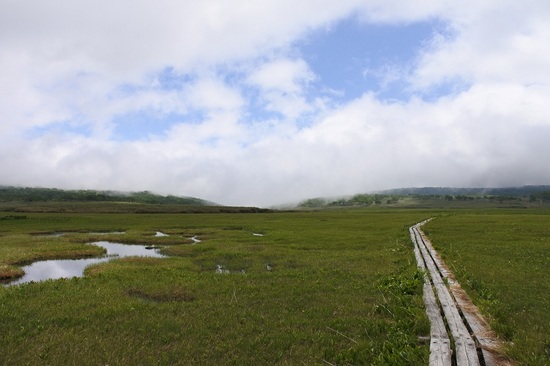 DSC_6775-2.JPG