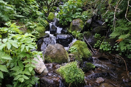 DSC_6799.JPG