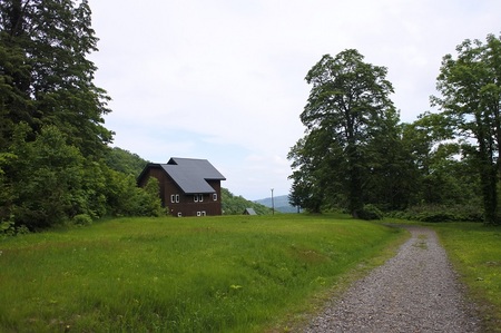 DSC_6806.JPG
