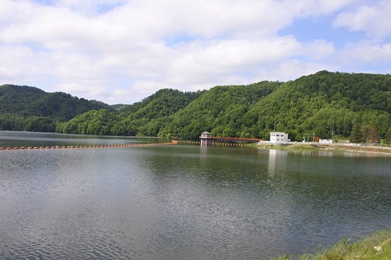 DSC_6817.JPG