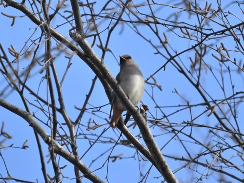 DSC_9191.JPG