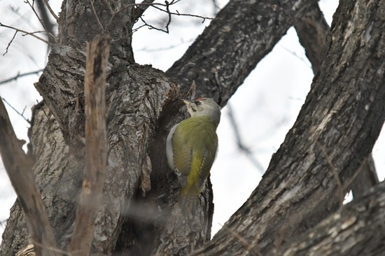 DSC_9207.JPG