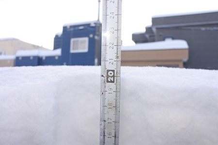 DSC_3016.JPG