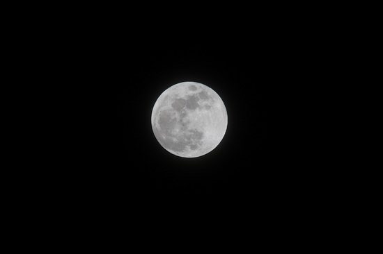 DSC_0211.JPG