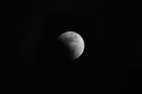 DSC_0291.JPG