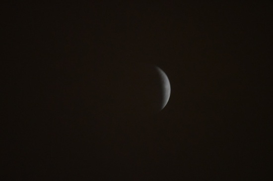 DSC_0323.JPG