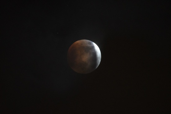 DSC_0324.JPG