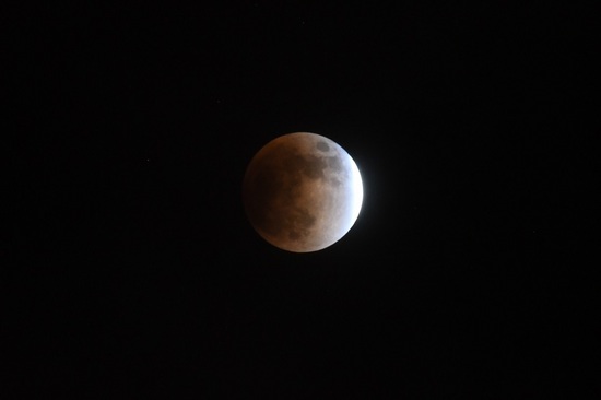DSC_0349.JPG