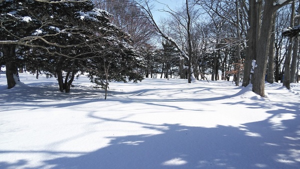 DSC_0451.jpg