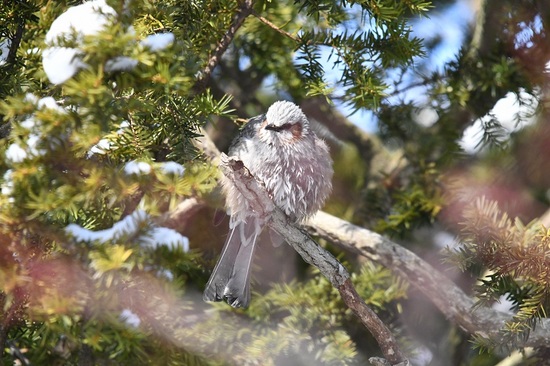 DSC_0468.JPG