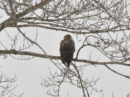 DSC_0562.JPG