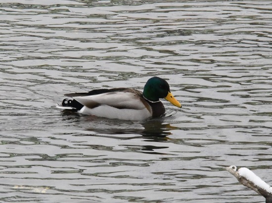 DSC_0602-2.JPG