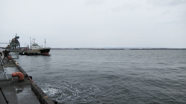 DSC_1016.jpg