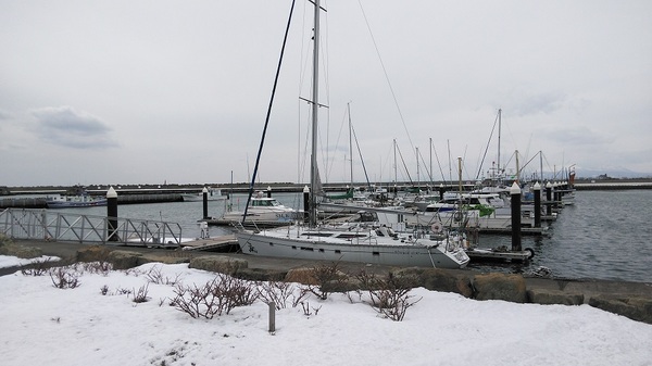 DSC_1026.jpg