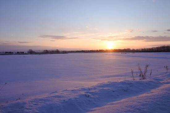 DSC_3432.JPG