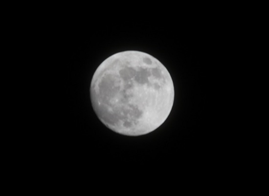 DSC_3805-4.JPG