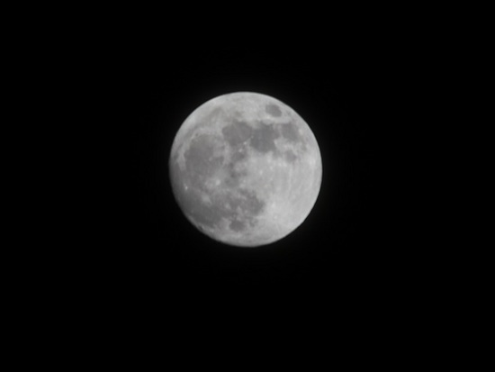 DSC_3805-6.JPG