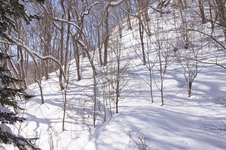 DSC_4250.JPG