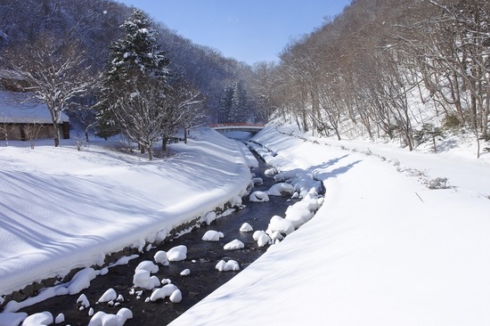DSC_4256.JPG